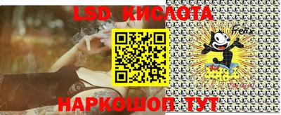 прущие грибы Комсомольск-на-Амуре