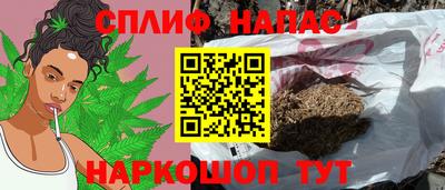 прущие грибы Комсомольск-на-Амуре