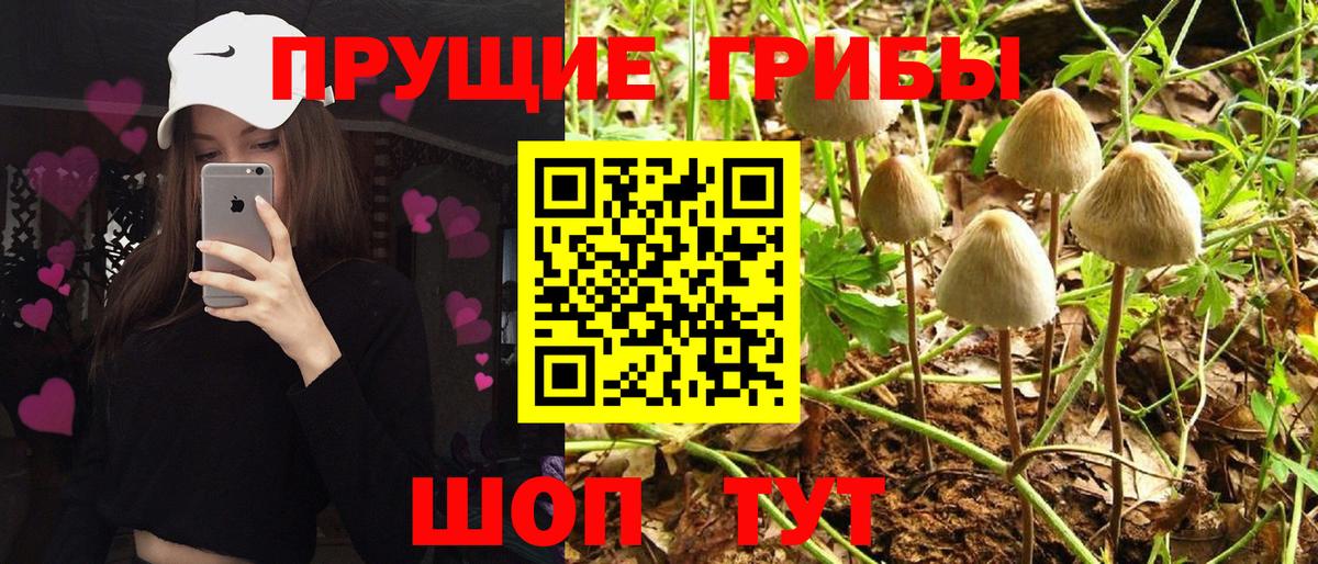 Галлюциногенные грибы Psilocybine cubensis  Галлюциногенные грибы MAGIC MUSHROOMS  Карталы  даркнет сайт  Вход с VPN 