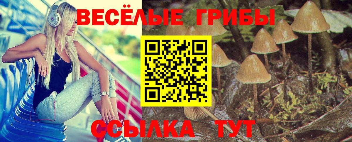 Галлюциногенные грибы Cubensis Карталы